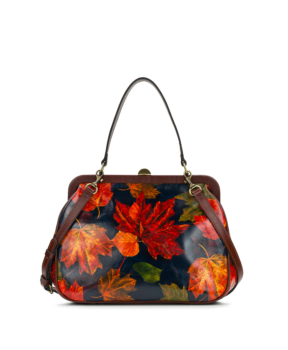 Framed satchel handbags sale