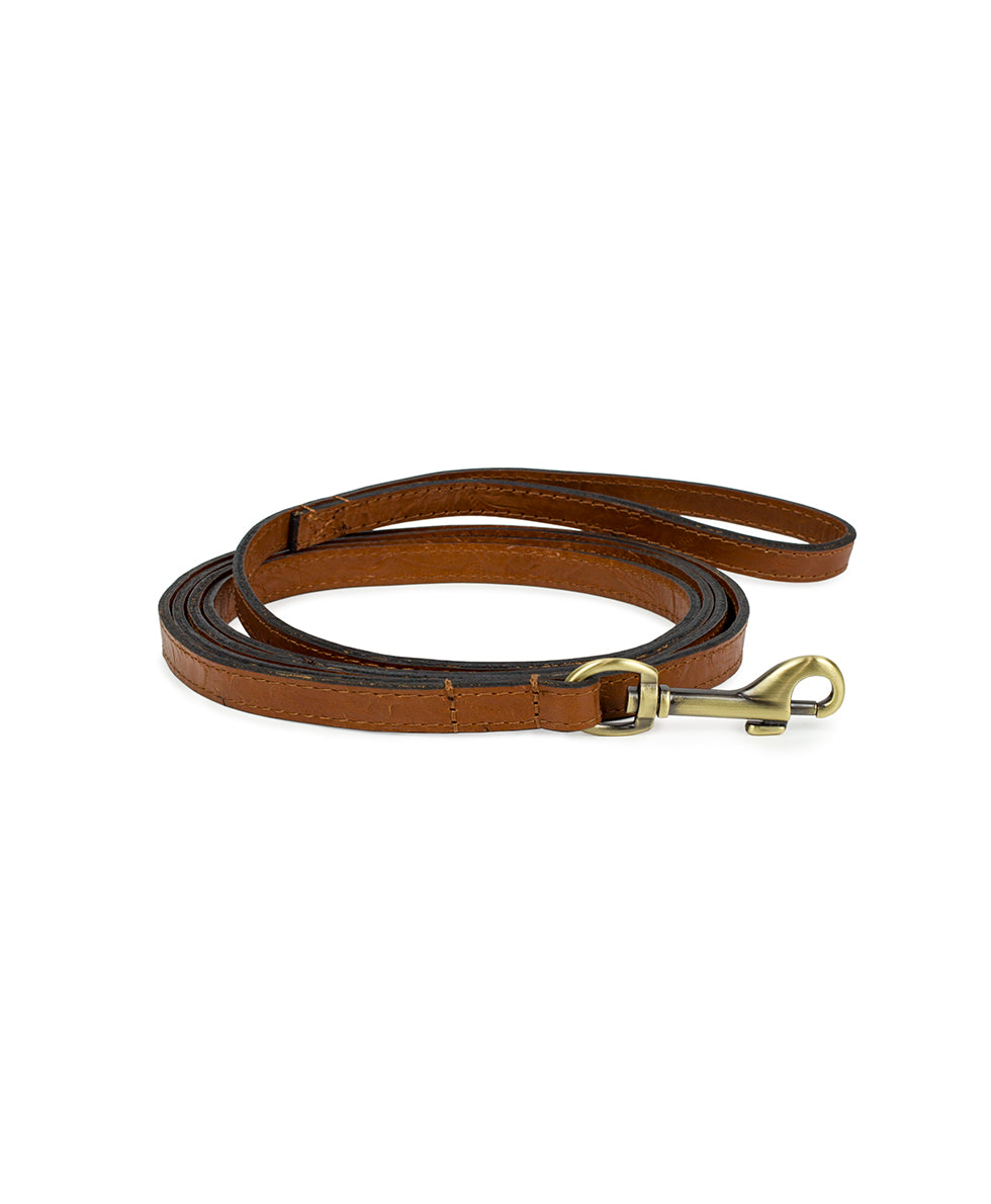 Pet Leash 1/2