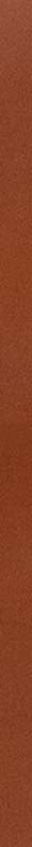 leather swatch detail