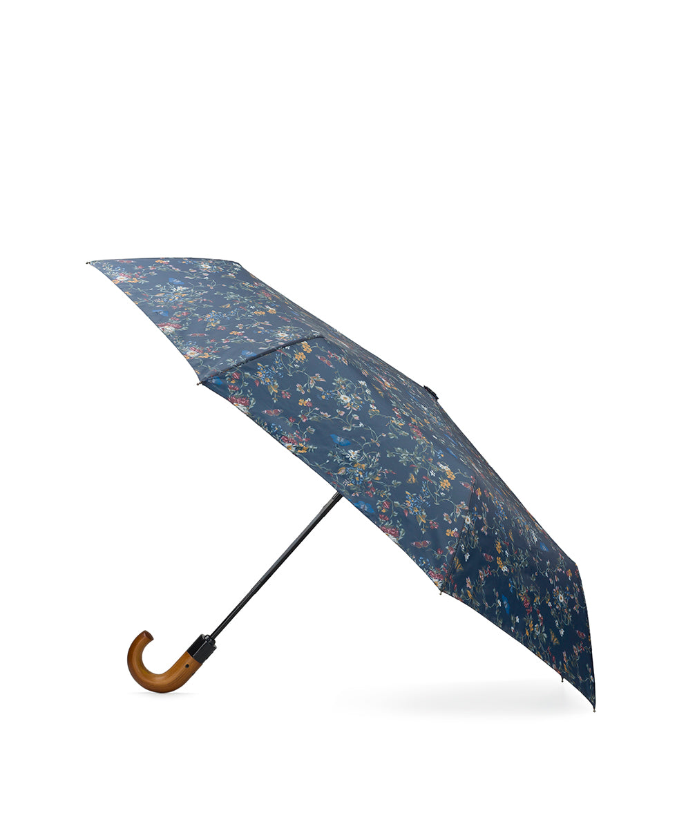 Female - Magliano Umbrella - Butterfly Gardens - butterfly gardens - by Patricia Nash - View 3 of 3