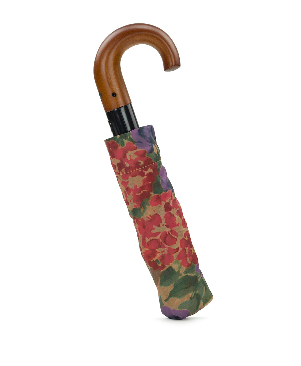 Female - Magliano Umbrella - French Hydrangeas - french hydrangeas - by Patricia Nash - View 1 of 3