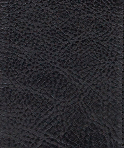 Black - Swatch