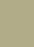 Brushed Brass - Swatch