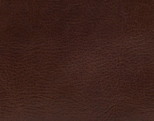 Chestnut - Swatch