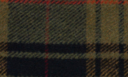 Olive - Swatch