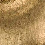 Antique Gold - Swatch