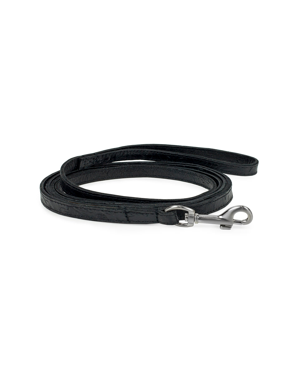 Pet Leash 1/2