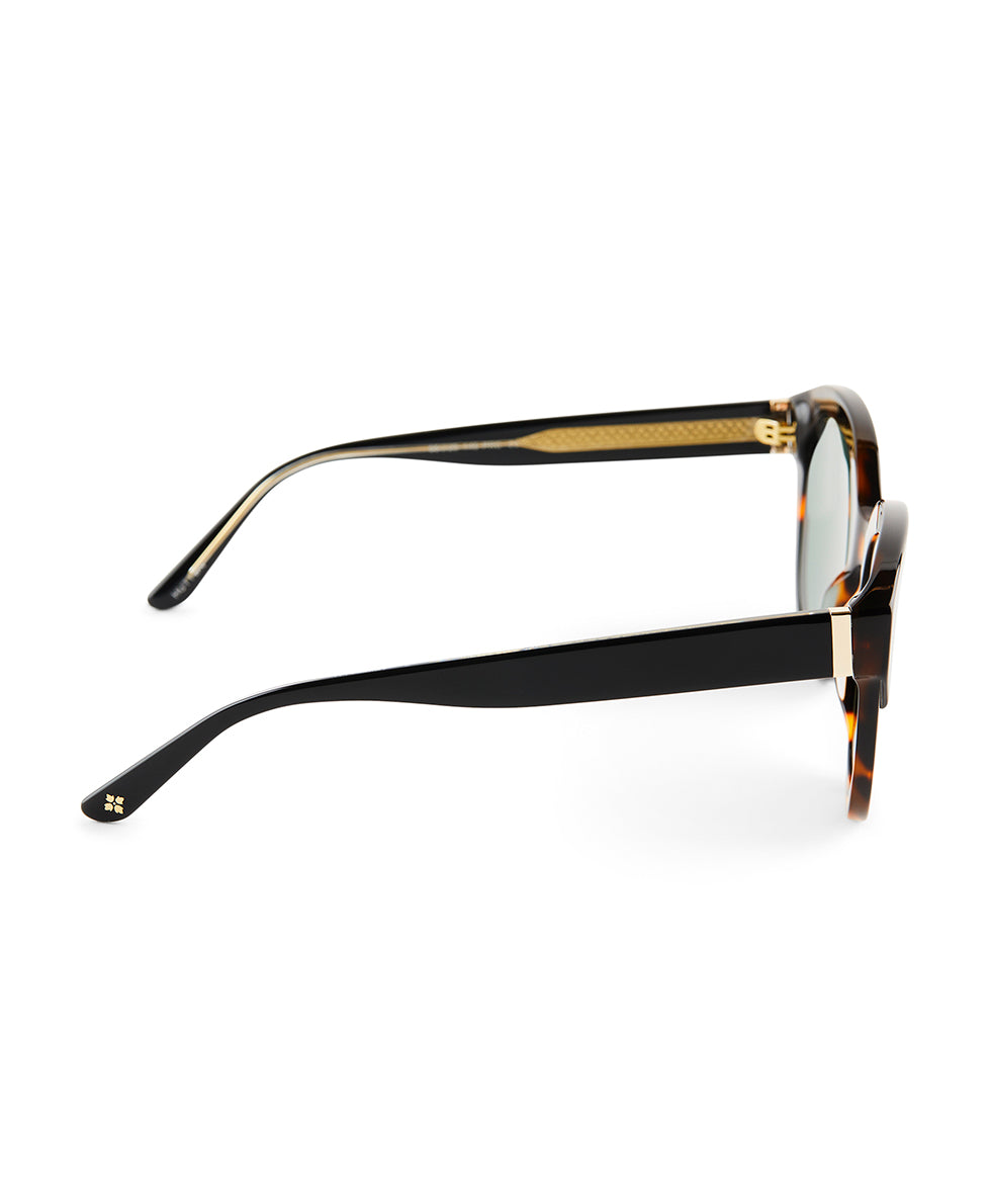 Hutton Sunglasses - Tortoise/Black