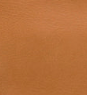Hazelnut - Swatch