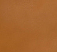 Hazelnut - Swatch