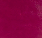 Fuchsia - Swatch