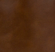 Cognac - Swatch