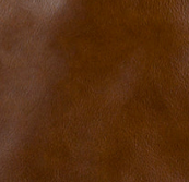 Cognac - Swatch