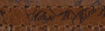 Signature Map - Swatch