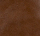 Cognac - Swatch