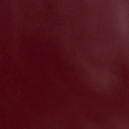 Maroon - Swatch