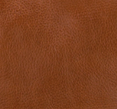 Cognac - Swatch