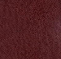 Maroon - Swatch