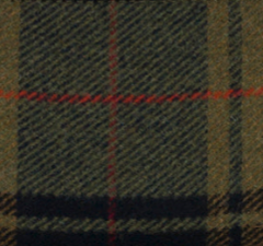 Olive - Swatch