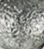 Silver Ox - Swatch