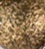 Antique Gold - Swatch