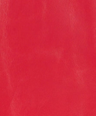 Passion - Swatch