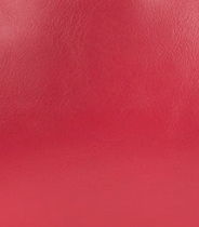 Passion - Swatch