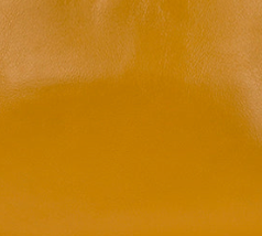 Mango - Swatch