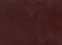 Maroon - Swatch