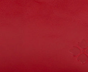 Rosewood - Swatch