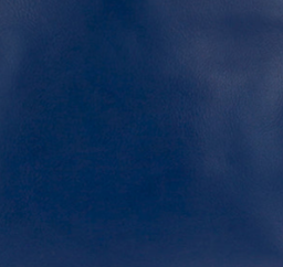 Navy Peony - Swatch