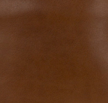 Cognac - Swatch