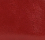 Rosewood - Swatch