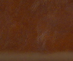 Cognac - Swatch