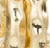 Worn Gold - Swatch