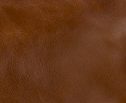 Cognac - Swatch