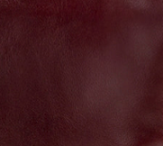 Oxblood - Swatch