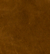 Cognac - Swatch