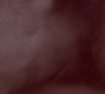Oxblood - Swatch