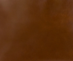 Cognac - Swatch