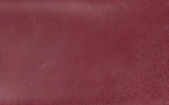 Oxblood - Swatch