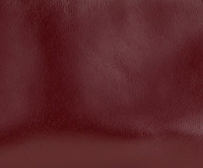 Oxblood - Swatch