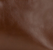 Cognac - Swatch