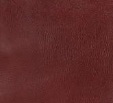 Maroon - Swatch