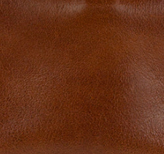 Cognac - Swatch