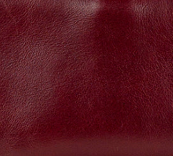 Oxblood - Swatch