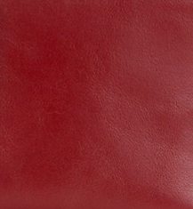 Berry Red - Swatch
