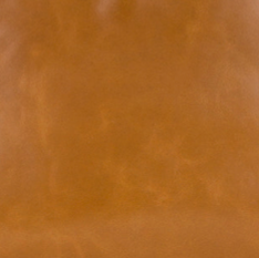 Light Tan - Swatch
