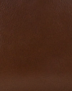 Cognac - Swatch