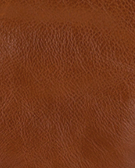 Cognac - Swatch